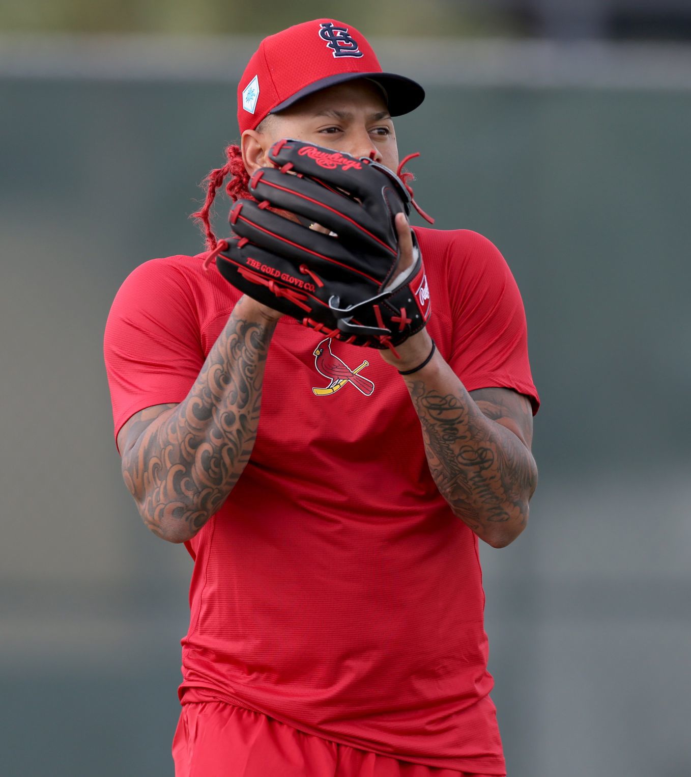 Cardinals spring training